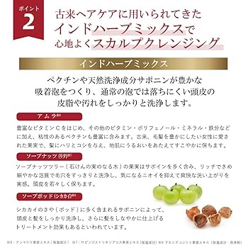 エックスリュークス　シャンプー＆リンス＆ヘアシャンプーリキッド XLUXES ヘアシャンプーリキッド | XLUXES ヒト幹細胞培養液配合